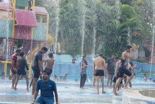 5 Years Celebrating Photos